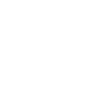CEUS Logo
